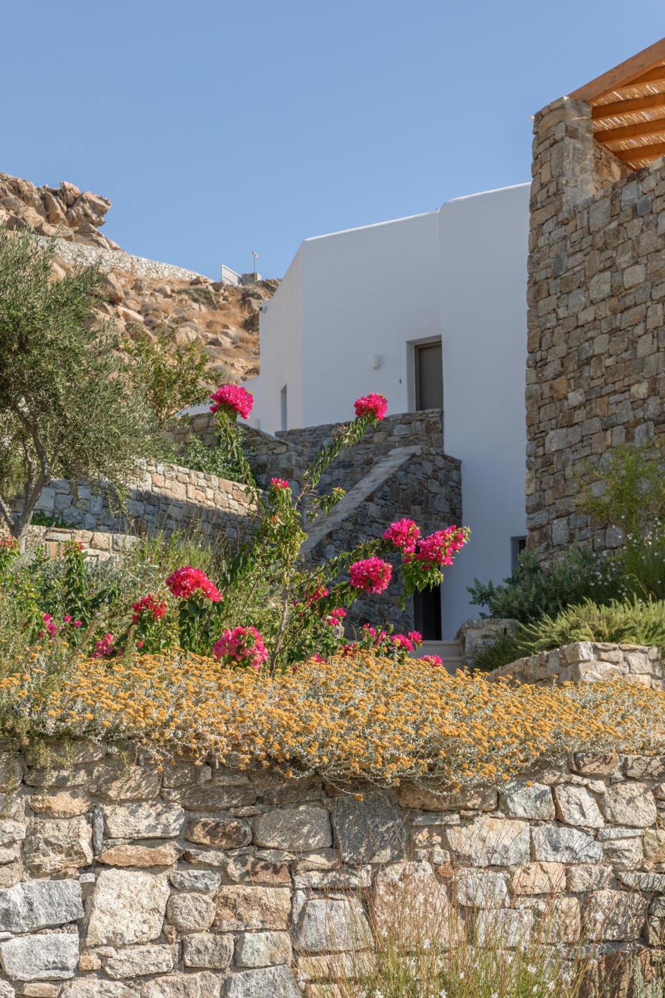 Calma Suites Mykonos プサロウ エクステリア 写真